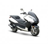 2010 Giantco G-Apex 125 photo